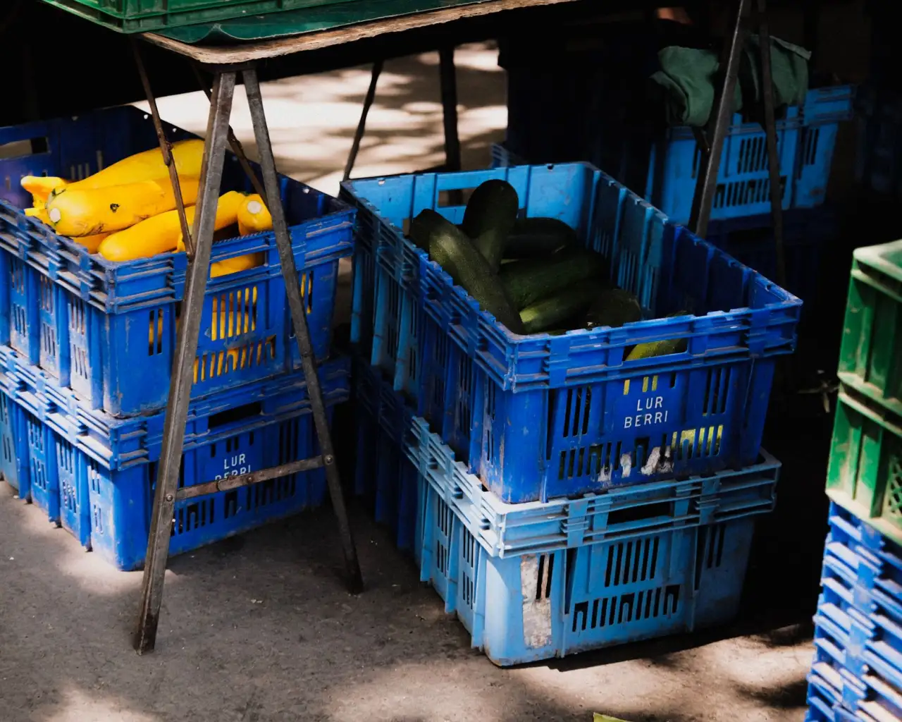 广告设计与包装设计协同服务:海口品牌形象一体化建设方案