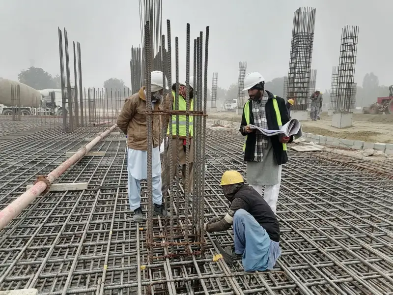 广告设计中的VI系统构建关键要素与实操要点
